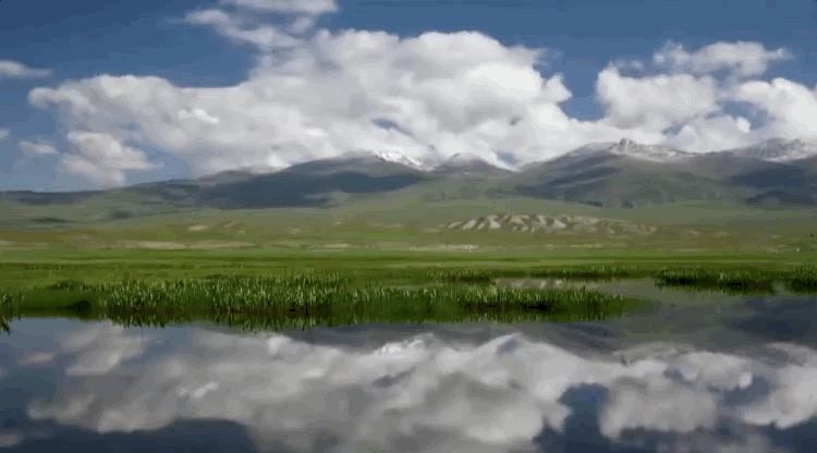 寒假适合学生看的纪录片及书单 (http://www.hnyixiao.com/) 校内新闻 第12张