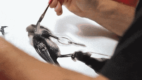 你想象不到的戏曲与国画血缘关系！ (http://www.hnyixiao.com/) 校内新闻 第4张