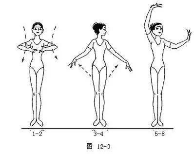 舞蹈的手位、步位、步法的基础知识 (http://wudao.hnyixiao.cn/) 舞蹈界 第4张
