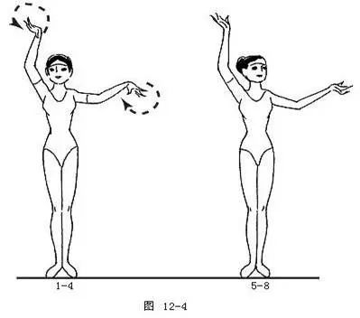 舞蹈的手位、步位、步法的基础知识 (http://wudao.hnyixiao.cn/) 舞蹈界 第6张